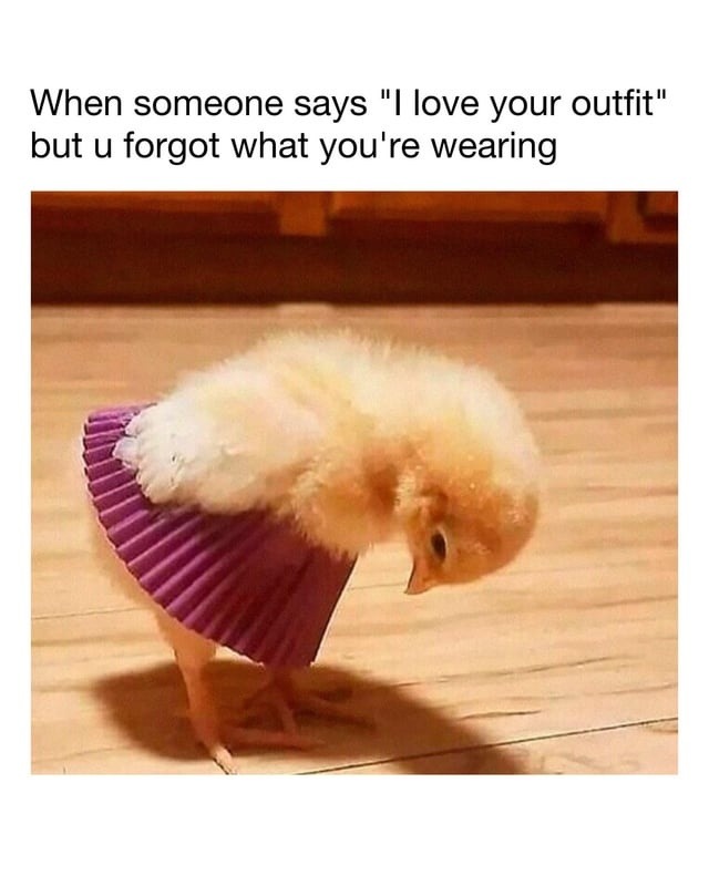 When they compliment your outfit and you forgot what you're wearing - meme