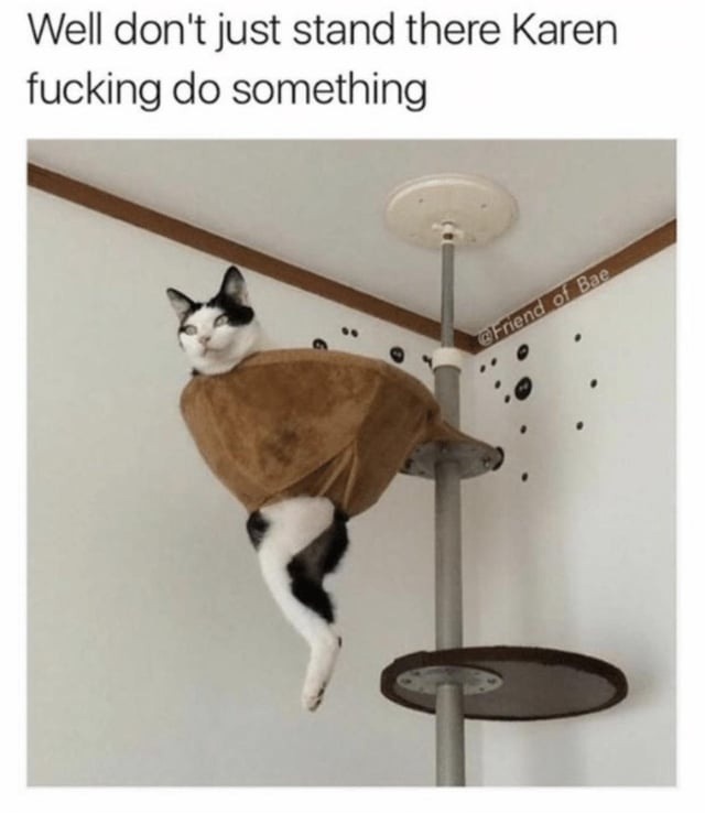 Karen do something - meme