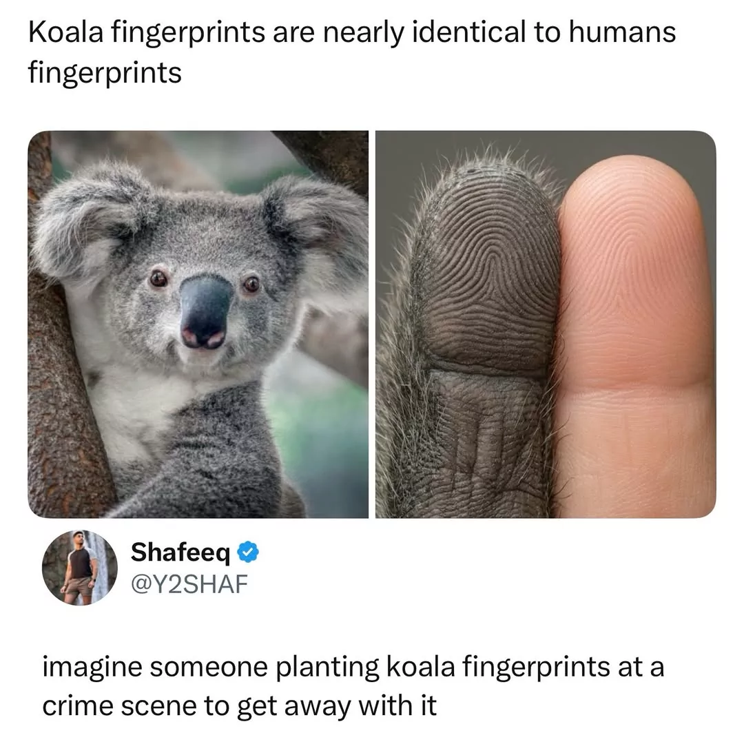 That was the first thing on our mind